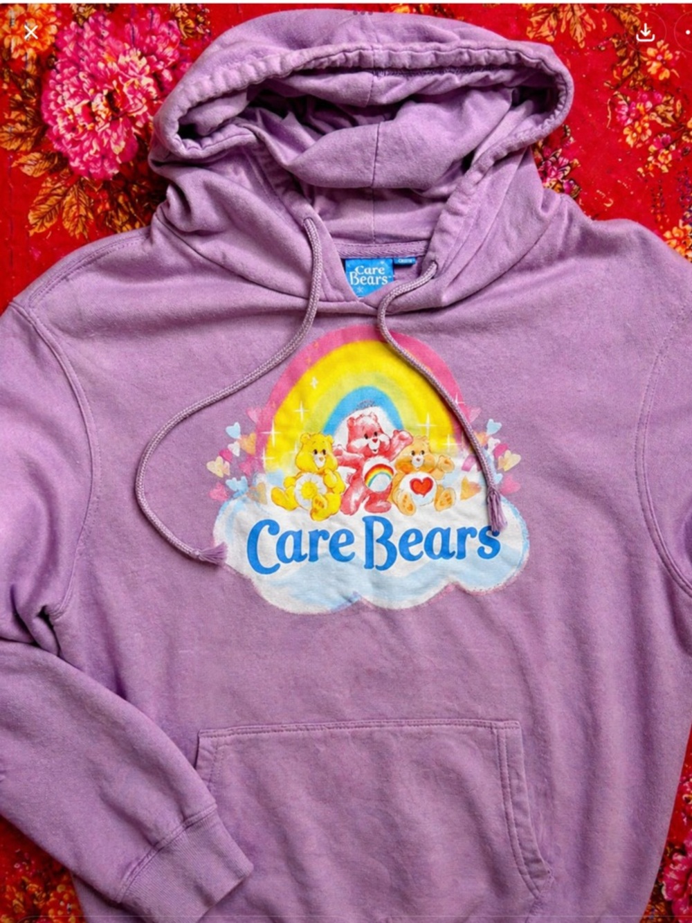 Care Bears Hoodie
